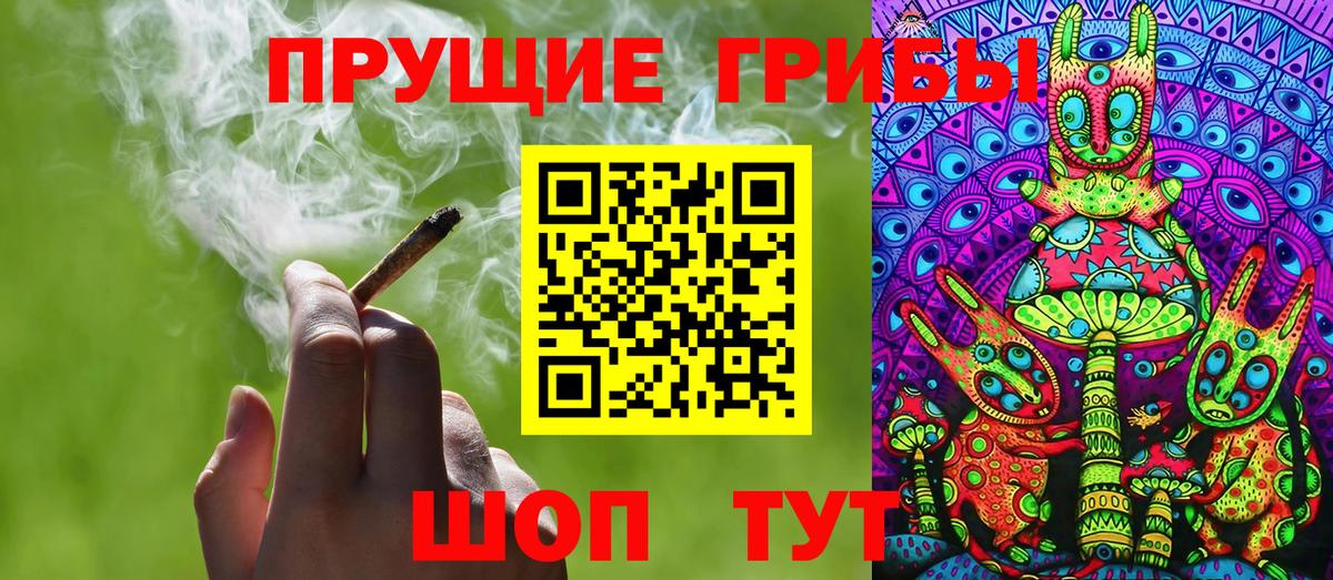 Псилоцибиновые грибы GOLDEN TEACHER Новотроицк
